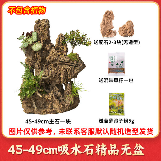 Shiguang Xiaozhan boutique water-absorbing stone bonsai fish pond rockery micro-landscape decoration natural rockery stone landscaping raw stone boutique 45-49cm water-absorbing stone does not include basin
