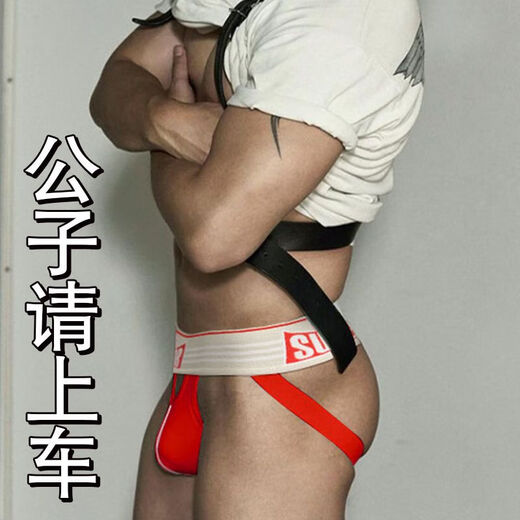 雅趣性感黑丝袜情趣内衣女诱惑过膝男娘专用品男性自撸内裤发泄 黑色款-男士内裤自撸情趣内裤丁字裤男性感私密情趣 飞机杯内裤上班穿情趣内衣大尺度黑丝裸感变态