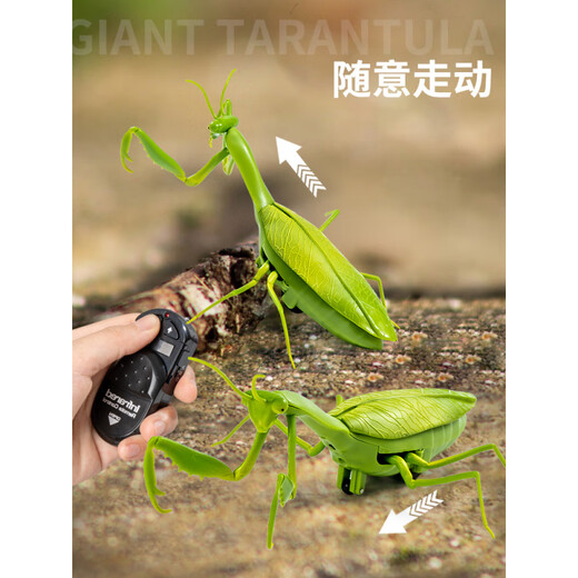 Jiatuling Remote Control Mantis Simulación eléctrica Juguetes Douyin Prank Artifact Cockroach Los niños pueden mover los animales de rastreo de araña [Versión clásica - Control remoto Ladybug] Modelo rojo 9922+ Estándar oficial