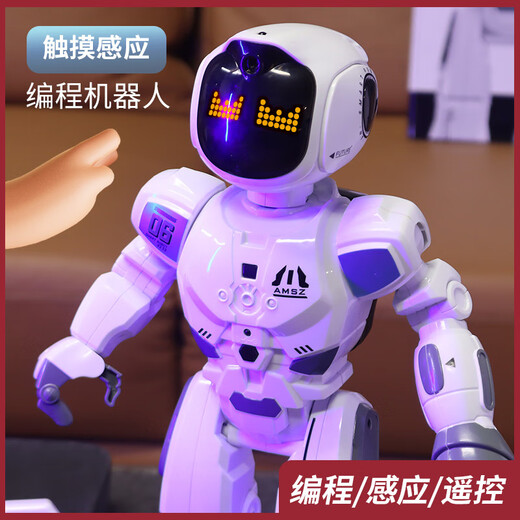 Andere intelligente Fernbedienungs -Kontroll -Roboter -Kinderspielzeug -Jungen können interaktive Programmierungstechnologie für Sprachkörper tanzen und singen können.