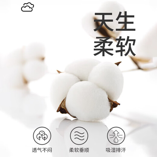 Langsha baby cotton men's underwear autumn pure cotton antibacterial silk crotch breathable boxer briefs sports boys boxer shorts