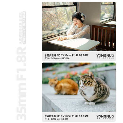 Yongnuo YN35mm F1.8 Multi-SpecificationsR-mount Sony E-mount half-frame standard fixed focus lens, suitable for R-mount Z-mount E-mount ZVE10 A6000 and other mirrorless cameras YN35mm F1.8 Multi-SpecificationsR-mount Black shell Standard