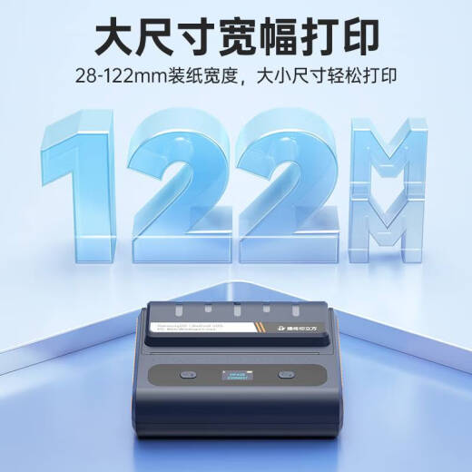 倪之尔定制德佟DP40S大尺寸标签打印机多功能食品配料表仓储物流100mm纸 DP12370(配套200*200mm空白标签) 官方标配 机器+送1卷标签