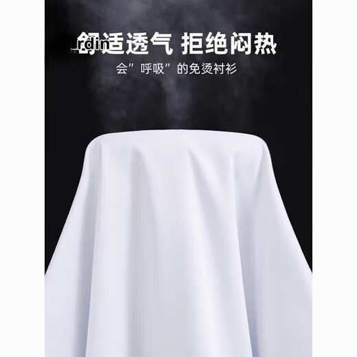 皮尔卡丹（pierre cardin）纯色棉长袖衬衫男士春秋季新款商务正装中年寸衫西装衬衣免烫抗皱 6621【长袖】 38 【90-115斤】