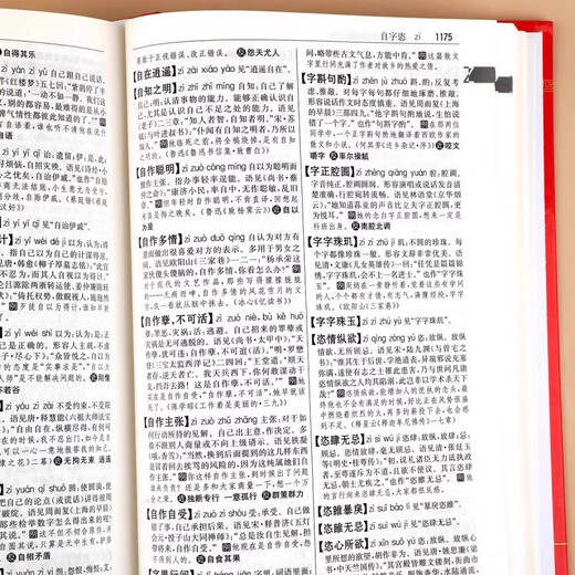 中华成语大词典（红色） 现代汉语词字典高中常用小学生初高中单色本现代汉语成语全多功能工具书成语词典书