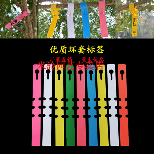 Mijia PVC waterproof ring set flower plant label seedling gardening label plastic orchid label ring buckle tag ring set - white (100 sheets)