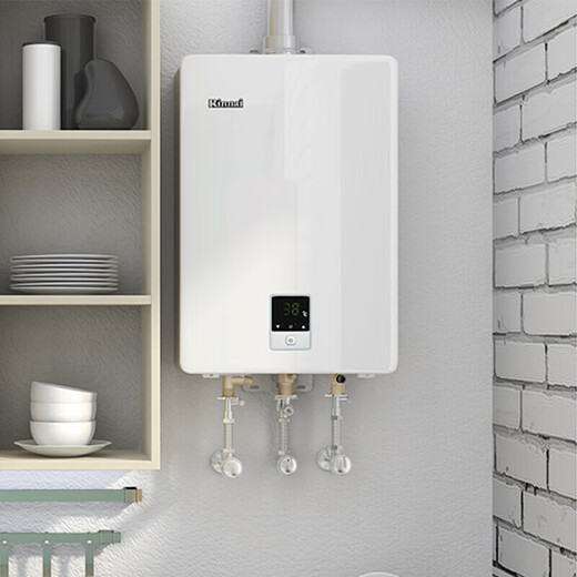 Rinnai 01 series 11-liter gas water heater, variable frequency constant temperature, water and gas dual adjustment, forced exhaust natural gas 11QD01 (JSQ22-C01)