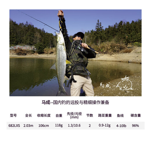 达亿瓦（DAIWA）子龙路亚竿ZILLION马成内山川村远投竞技路亚杆子 2.03米 682LXS直柄 (马成)