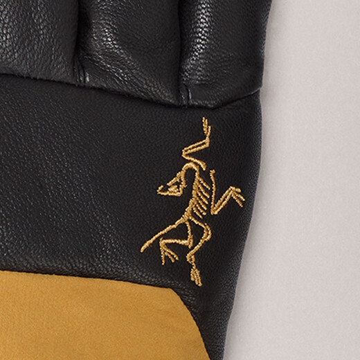 ARC'TERYX Archaeopteryx SABRE GLOVE Same Model Ski Gloves YUKON/Yukon Yellow L
