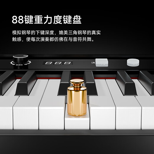 贝琪（Betsy） 电钢琴88键成人儿童便携折叠钢琴新手入门幼师学生初学电子钢琴 B177【经典款】-黑色 套餐一：标配
