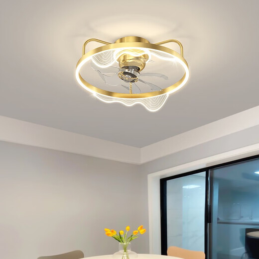 Opple Lighting 2025 Neues Schlafzimmer Lüfter Leuchte Esszimmer Deckenleuchte integrierter unsichtbarer intelligenter Schüttelkopf Einfacher Hauptraum 5012 Schwarzschüttler Kopf 50 cm Schüttelscheibe
