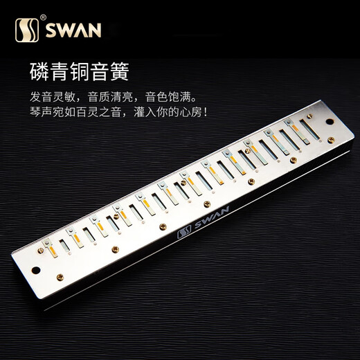 Swan (SWAN) polyphonic harmonica 24-hole beginners C-tune advanced adult professional playing instruments Children's school season gift Jazz black