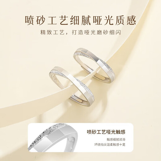 MZMZ platinum Möbius frosted ring pt950 platinum couple ring male birthday gift for girlfriend and wife light luxury model-single ring (note male/female)