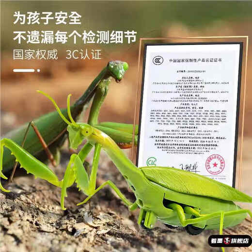 Fernbedienung Mantis Elektrische Simulation Spielzeug Streich Artefakt Kakerlach Junge Moves Spider Crawling Animals Klassische Version - Fernbedienungs -Ladykäfer Red 9922+ Schraubendreher