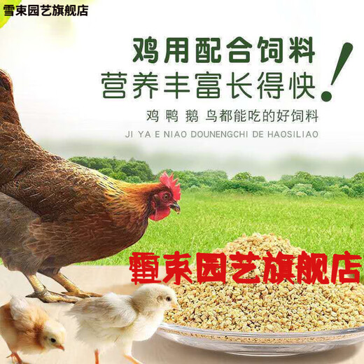 Snow beam chicken feed full price material 5 Jin Jin is equal to 0.5 kg Broiler feed 20 Jin Jin is equal to 0.5 kg Chick feed large chicken pellet material Goose lays eggs Chicken feed 5 Jin Jin is equal to 0.5 kg Simple packaging