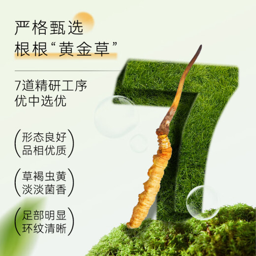 东阳光有机冬虫夏草3-4根/克  新干虫草礼盒 补品送父母长辈端午节礼物 11克【送礼甄选】
