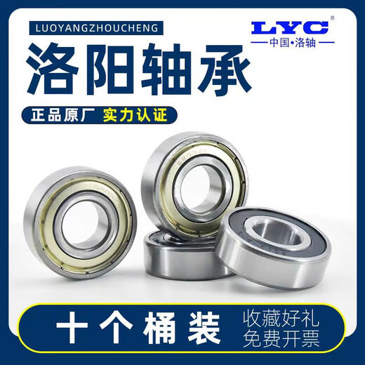 Luoshaft Lyc Luoyang Bearing Collection 6200 6201 6202 6203 6204 6205 6206 2RZ2Z 6205-zz-Eisenabdeckung Rob
