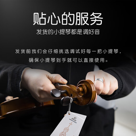 莱斯曼德（ANGELVIOLIN）专业考级演奏小提琴儿童初学成人考级西洋乐器 L008A 1/4