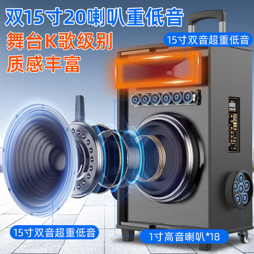 NINTAUS Square Dance Audio Outdoor K Song Dance Performance Trolley Mobile Bluetooth Speaker Store Special Large Volume Dual 12-inch 20 Speakers + Dual Microphones + U Disk