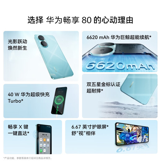 华为畅享80 国家补贴15% 全网通智能手机 6620mAh电池超能续航 玄甲架构 双五星超耐摔 华为鸿蒙 曜金黑 512GB 官方标配