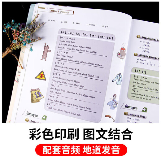 New Intensive German Course for Beginners 12, 4 volumes, textbook + vocabulary exercise book, self-study for beginners in German