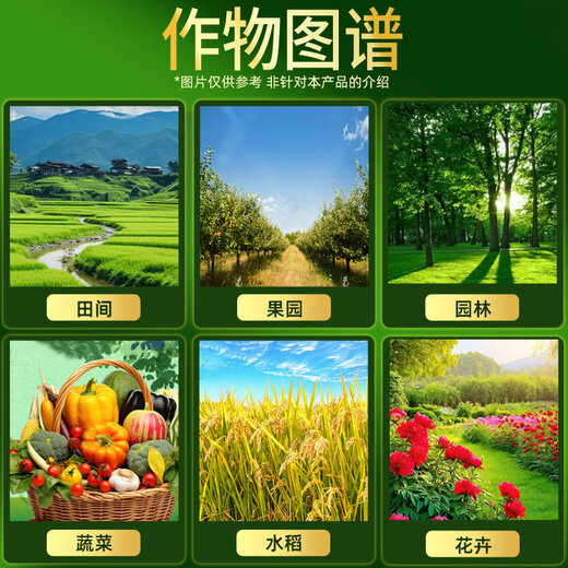 Hulian Plant Protection 15% Triadimefon File Powdery Mildew Special Medicine for Wheat Fruit Trees and Flowers Powdery Mildew Kuxiu Xining Pesticide Fungicide