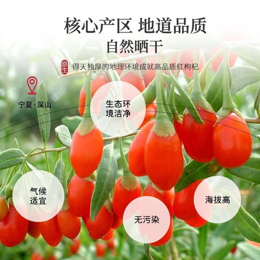 茶半春红枸杞子 头茬宁夏中宁原产无硫新货枸杞 泡水煲汤养生茶罐装150g