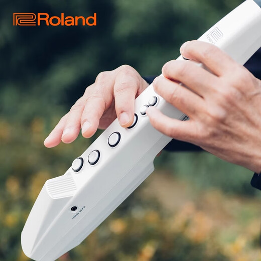 罗兰（Roland）电吹管AE05C自带音源电萨克斯民族音色AE01老年初学入门电子管乐 AE-01C白色