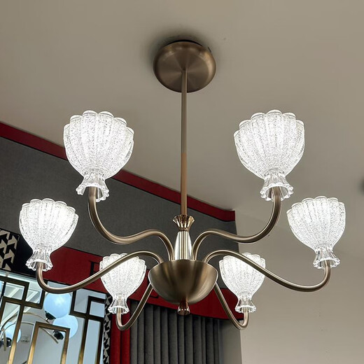 Opp Lighting (OPPLE) 2025 latest past lighting 9227 high-end solid modern living room dining room chandeliers minimalist aluminum warm lights living room 12 heads three-color unlimited remote control