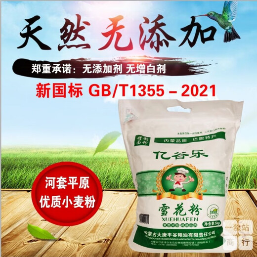 河套正宗内蒙古河套平原面粉10斤中筋面粉饺子馒头巴盟特产 10斤新国标1355-2021雪花粉