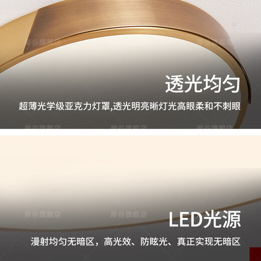 耐用别墅大门口吸顶灯防水防虫入户进门灯室外门前全铜户外阳 新X3890-大号51CM/三色可调