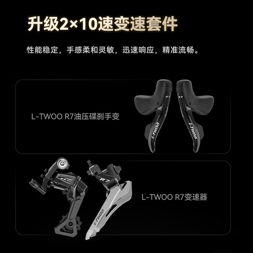 喜德盛（xds）xds ad300喜德盛ad300 25款山地车喜德盛公路车公路自行车喜德盛 2025款|白蛇 700Cx480mm|身高165-175cm