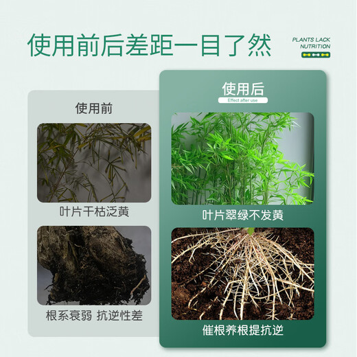Stanley bamboo special nutrient solution first aid yellowing leaves dry tips dry leaves rotten roots promote growth green plants household compound fertilizer bamboo nutrient solution 500ml