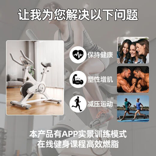 DZQ 动感单车磁控健身车家用室内健身车居家静音健身房锻炼器材脚踏 简配款-无电子表-无心率监测