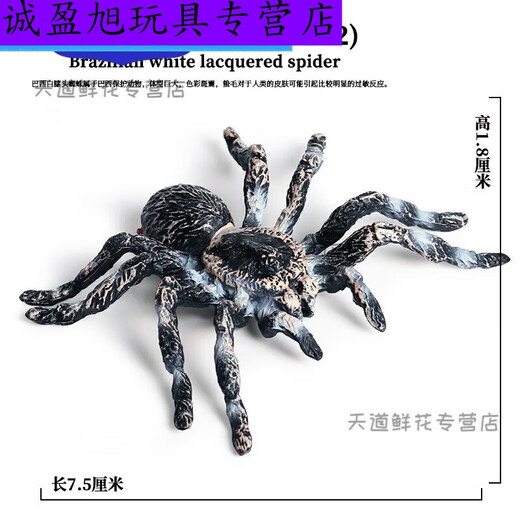 Simulation du village de Shantoulin Spider Spider Halloween Prank Toy Simulation Spider VenoMous Spider Insect Modèle Animal Ox-683 Brésilien Blue Bird Catching Spider 0.0
