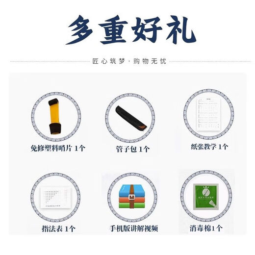 Peiyin Shengyye Pipe Instrument Anfänger Erwachsener Flöte Windmusik National Musik Flöte professionell Ebony Tear Gas Pipe E-Flat Messing Hoop Pipe + 6 Geschenke