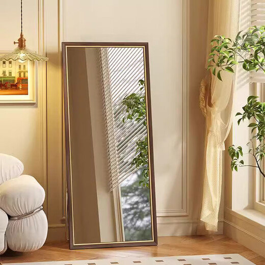 
Xiaojiangcai dressing mirror floor-to-ceiling mirror fitting European full-length mirror retro home floor wall-mounted household mirror 40*150 Hu Tao