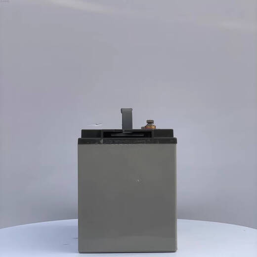 倪之尔定制蓄电池DJM12100S阀控密封式12V100AH铅酸免维护UPSEPS直流屏 理士DJM12200S 12V200AH