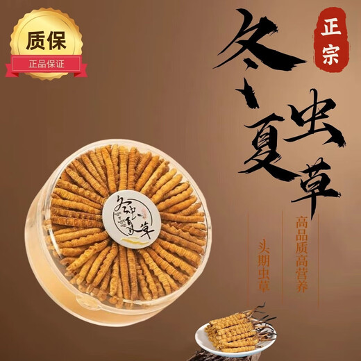 Selected authentic snow mountain cordyceps sinensis genuine first-stage fresh cordyceps 50g gift box for 4 pieces/gram dry goods 50 pieces of Cordyceps in Tibet 4 pieces/gram