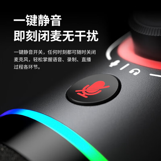 Shink Shink Maono dynamic microphone computer live broadcast microphone built-in sound card live recording dubbing game video conferencing Shink PD200x mobile radio microphone wired PD200X black (cantilever bracket model)