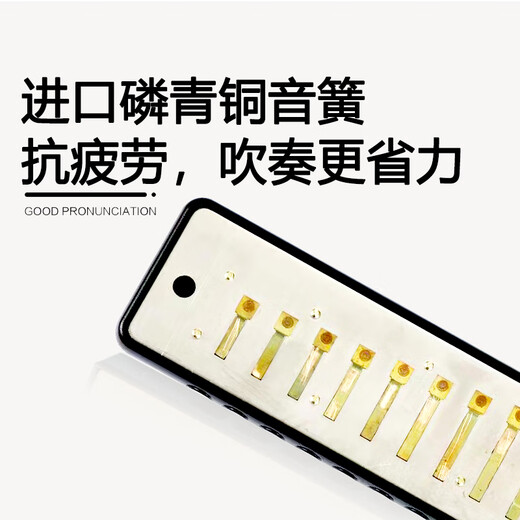 Guoguang 10 Hole Country Light Blues Harmonic (Frosted Black, Resin Core, Resin Cases)