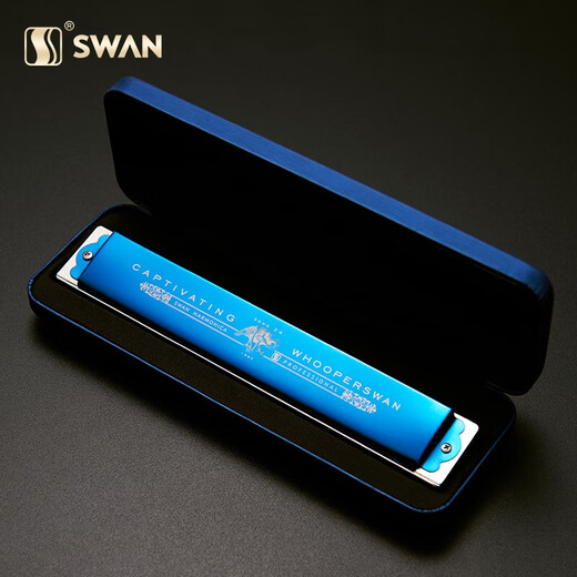 Swan (SWAN) polyphonic harmonica 24-hole beginners C-tune advanced adult professional playing instruments Children's school season gift Jazz black