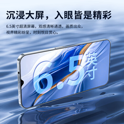 HWHR70 Pro智能手机 全新256GB大内存 护眼屏旗舰芯多核运行高刷长续航游戏5G全网通超清长续航手机 高级蓝(一年换新+五年质保) 【原装全新未拆封】8核+64GB