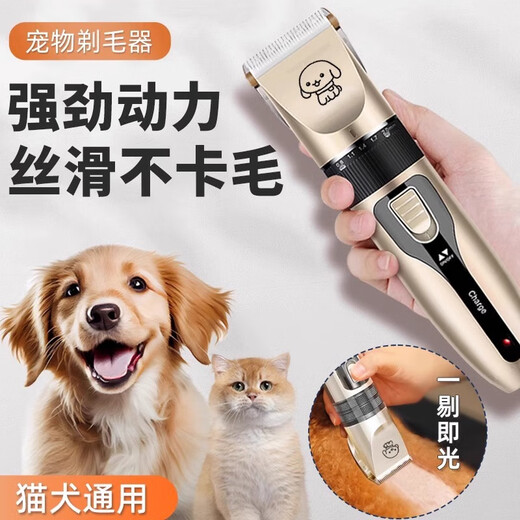 Pet shaver, dog clipper, electric clipper, dog hair trimmer, cat hair clipper, pet shop special, gold, maintenance oil + cleaning brush, four sizes of limit comb + TPC charging cable, detachable blade, easy to clean