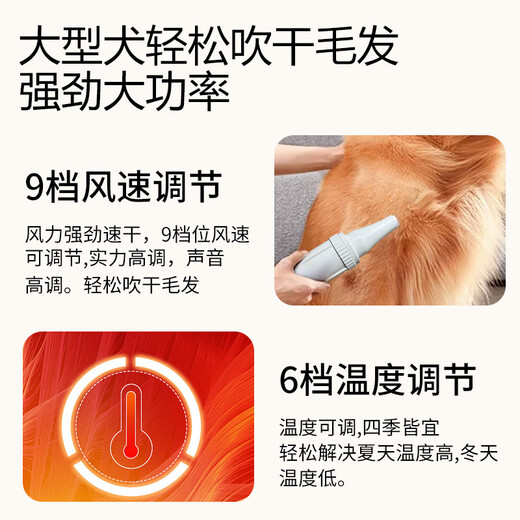 爪小宅宠物吹水机狗狗吹风机吹毛神器低噪大型犬洗澡吹干家用吹吸一体 【显示屏款】吹吸一体