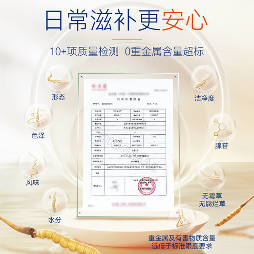 Dongyang Sunshine Fresh Cordyceps Box cadeau Cordyceps Gift nutritionnel haut-gir