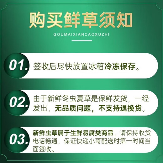新鲜冬虫夏草真空锁鲜包装顺丰冷链产地直发精选大草新鲜头期虫草 那曲鲜冬虫夏草每条0.7克20条装