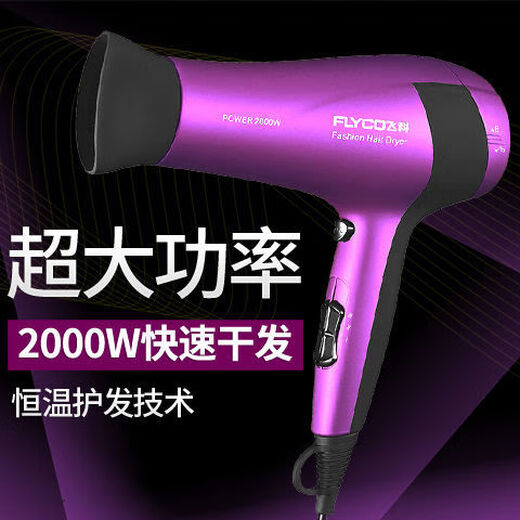 飞科电吹风机家用大功率2000W发廊冷热风负离子护发大风力吹风机 FH6231 标配+气垫梳套装【送旅行袋】