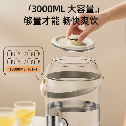 CHIGO Health Pot Large Capacity Health Bucket 3L Kettle Tea Maker Party Camping Fruit Wine Multi-Function Flower Teapot Constant Temperature Glass Kettle Insulation Milk Adjustment RC-Z830D10