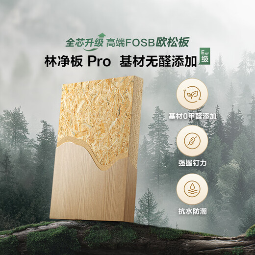 Lin's Home Furnishing National Subsidy Package Whole House Customized Wardrobe TV Cabinet Overall Furniture 17800 Package Package Price